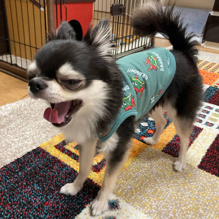 14970a79 3a87 4a73 8c69 d73582644190 1697904380941