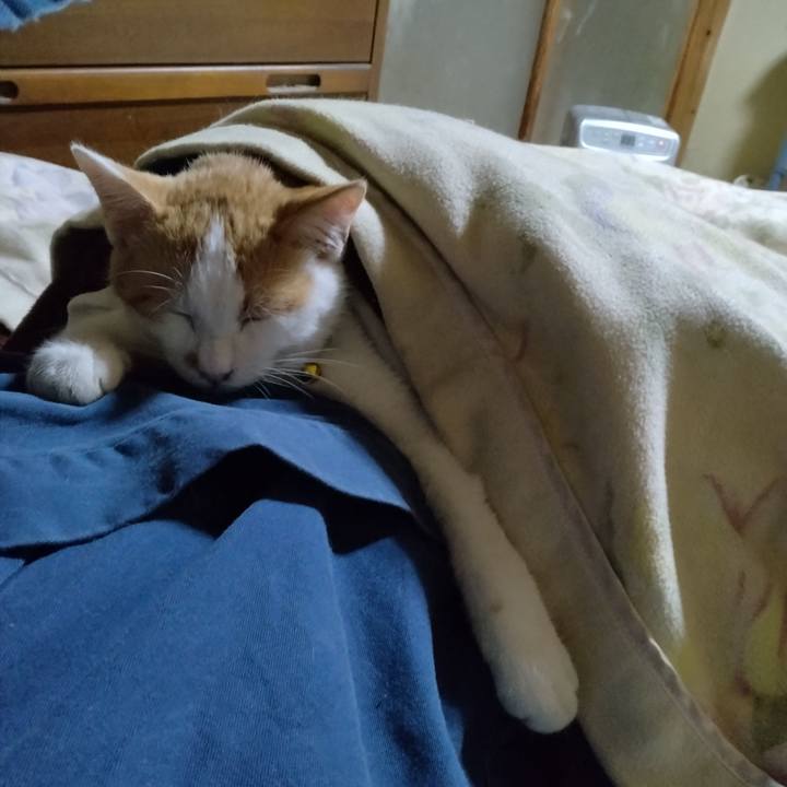 1497349e 10eb 4d78 8e00 9630c5760251 1734695479282