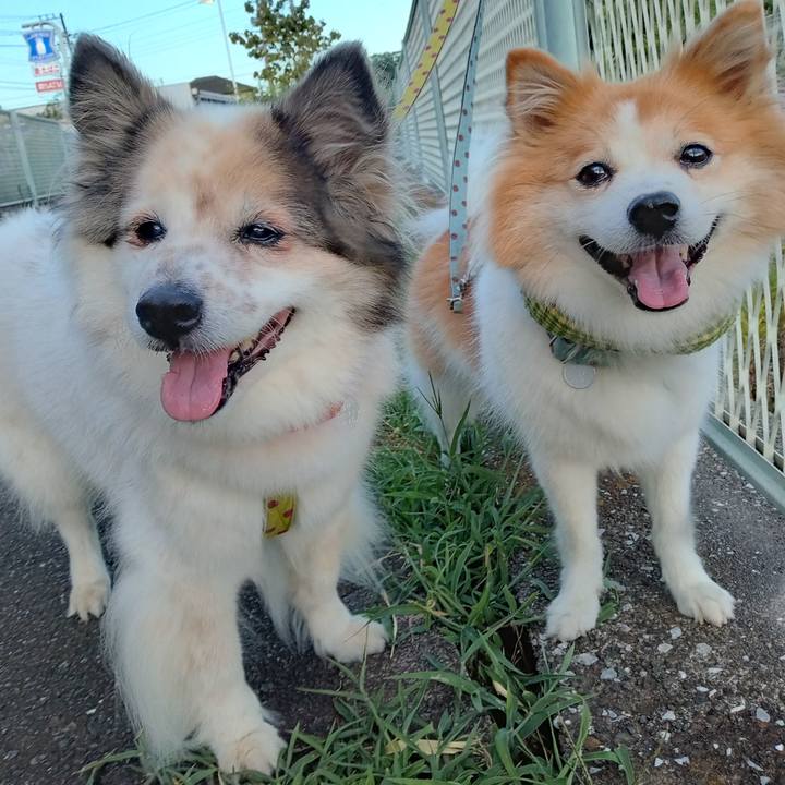 14975b54 6613 4bfc bd9b dcb318653bb4 1690976573110