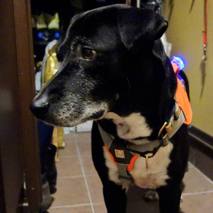 14976a6c 3929 42df a005 5e48e82edd4b 1732797124280