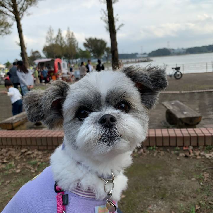 14978492 c88a 4c37 a9c4 841783a82d44 1572155845904