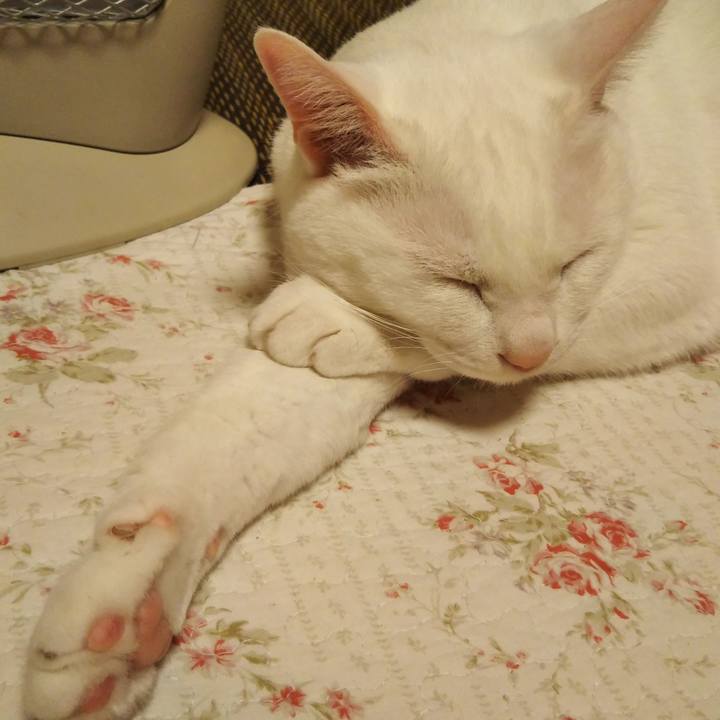 14979929 bb99 41e8 9d52 c90f69924641 1587830221642