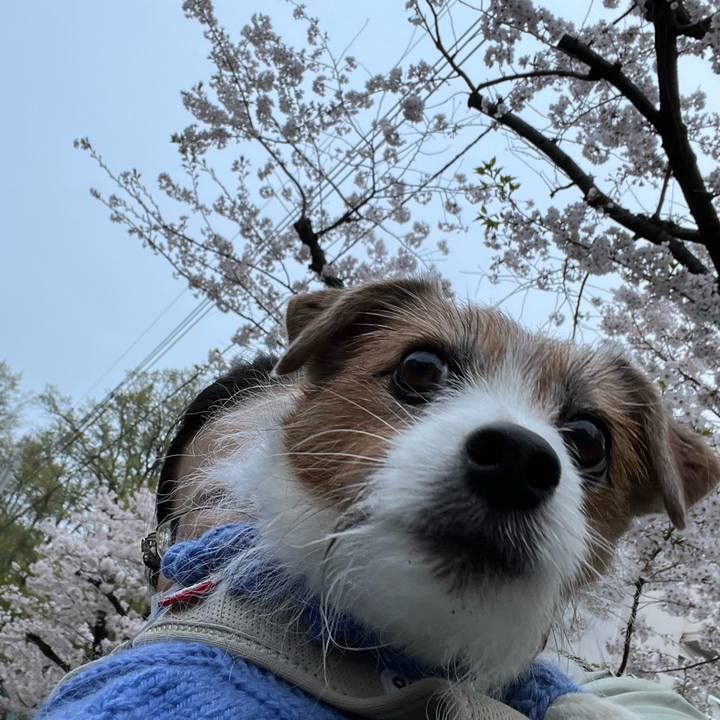 1497b062 036e 46ef 8b1a 528e5af17389 1712926977938