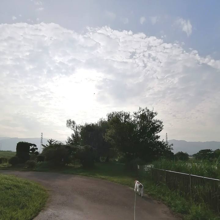 1497f4ef a351 4dfd a7f9 216981cec6ca 1595288338906