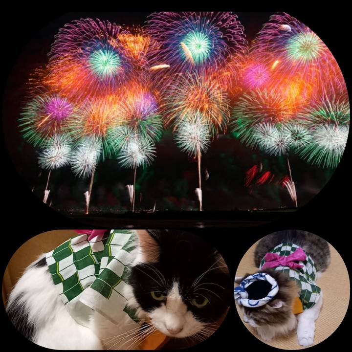 1498120c 75c7 4212 9805 6cb63b3f6b46 1661601310469