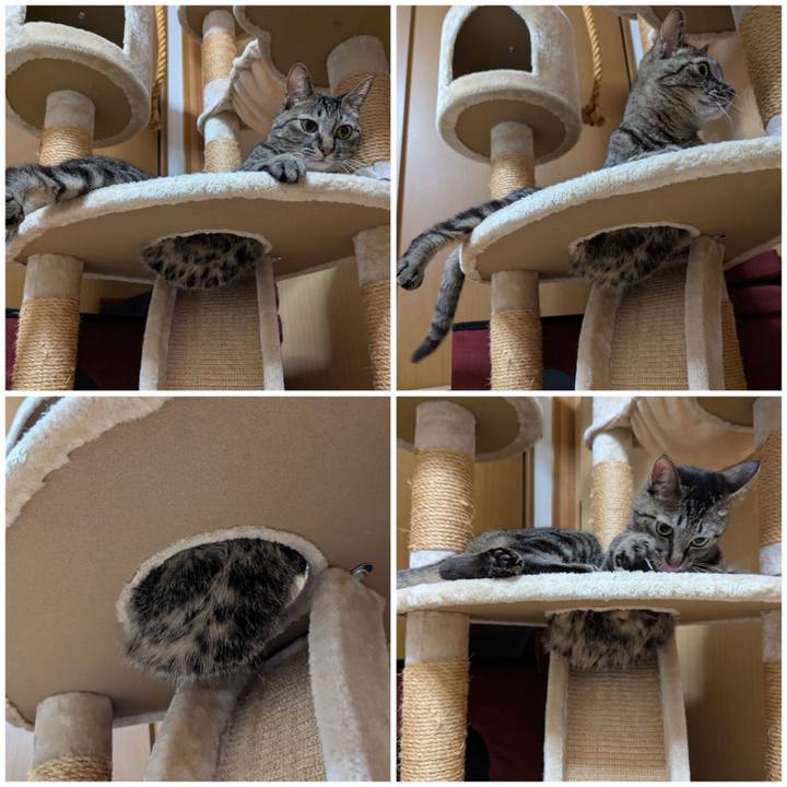 14981f8b 34d7 42b1 8c85 093e3d42f88b 1752044685580