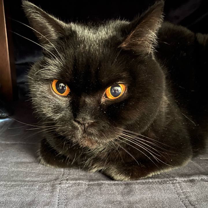 14984366 980c 4f70 9b20 5a5361ec12fc 1611486421125