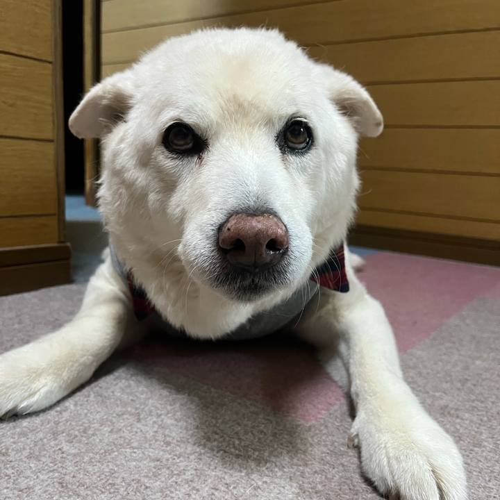 149857af 1340 4835 984f 83ffdbbecefc 1765409546057