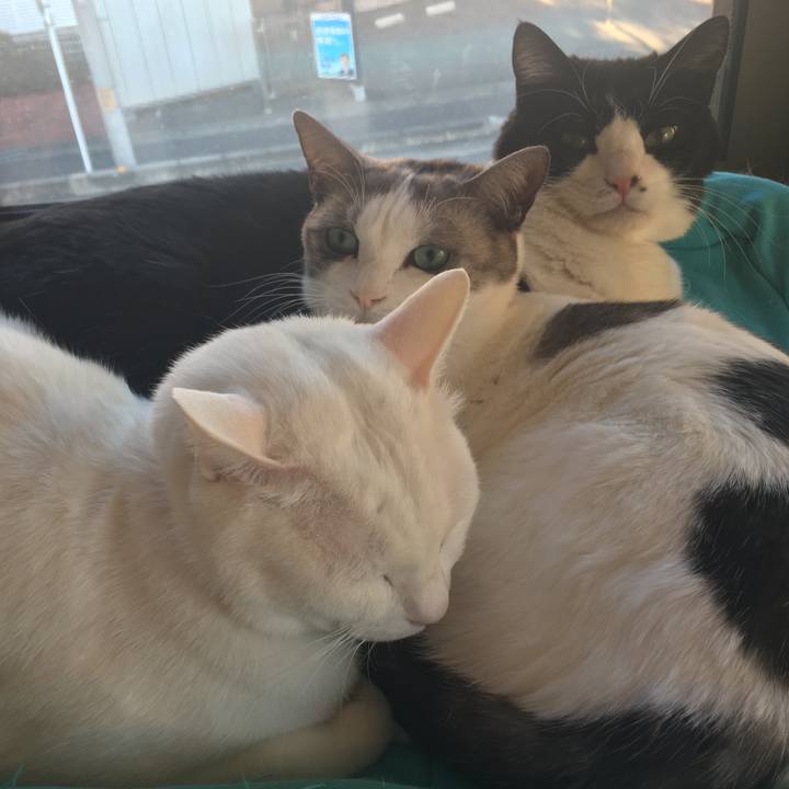 14986924 e47b 49f8 af58 dafb3c251c1f 1514528849089