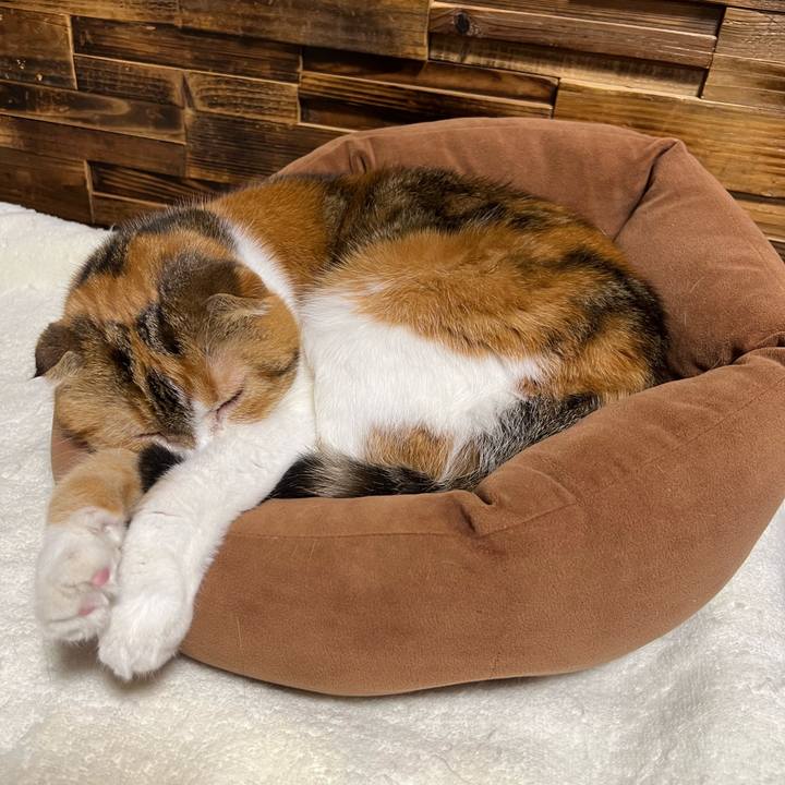 1498974c d050 4a37 a848 9d484104c962 1668940557408