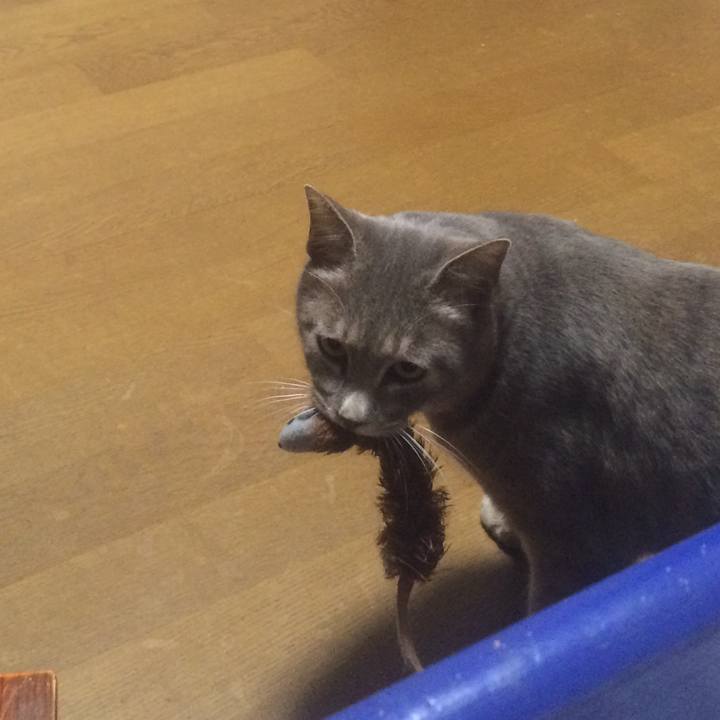 1498a4eb ad04 4f8c 8aa4 6ebe94e15e4e 1511498235726