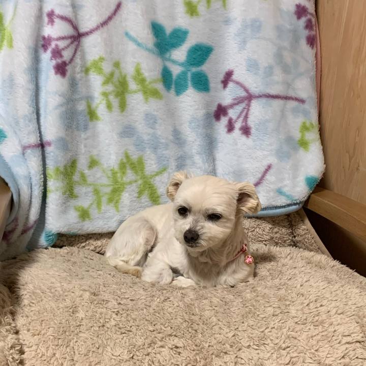 1498e69c 6d09 4af5 b451 661622d81324 1578571542364