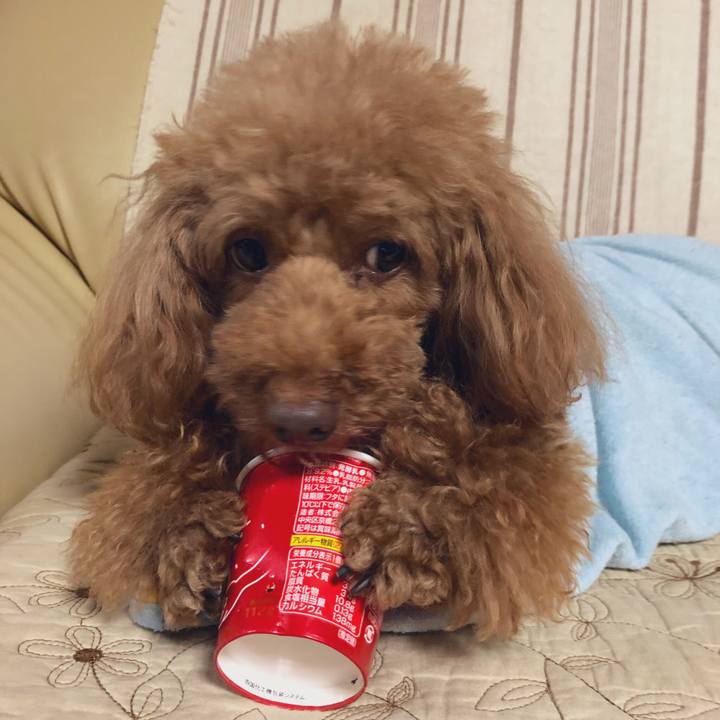 1498f9cf d0df 4510 9bff 59af342cca47 1561522344322