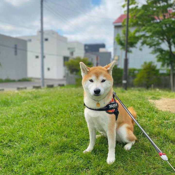 149901bd 2a96 4c01 8183 4d3a84c8887c 1623198331904