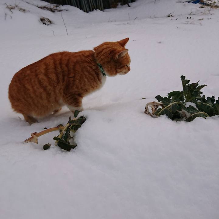 149903bd b4db 44ed 8403 5908da3cddb1 1581386843403