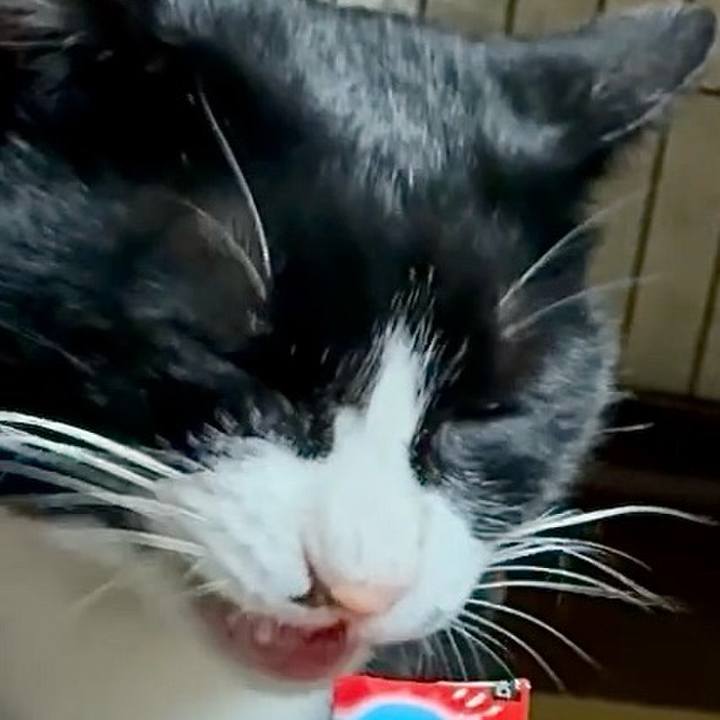 1499246a 5f85 46d0 9db1 52a3ab3253b0 1761817796405