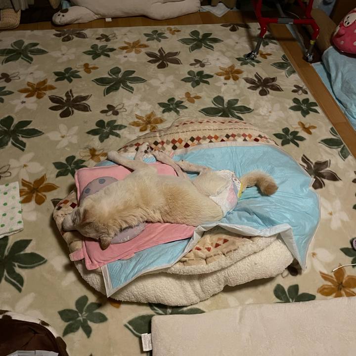 14999ec9 cbbc 458b a2a0 99d0c77c34d5 1671743120238