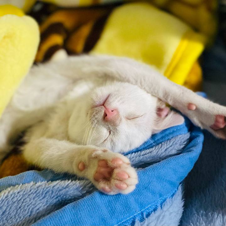 14999fce 9d55 428e ac51 73153b599301 1708847644448