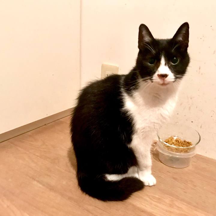 1499f186 9315 4780 a083 605e6e9a0c04 1537778998599