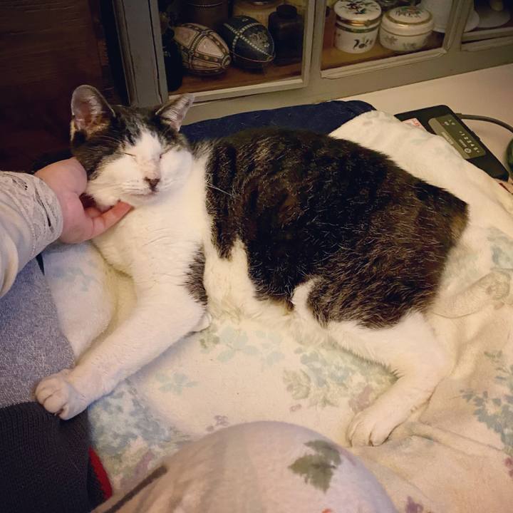 149a16e5 0933 4fe1 83e9 e28b66b61537 1611755115105