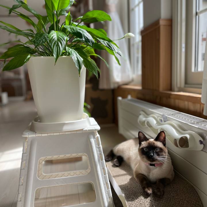 149a54e1 05a9 4cb9 b8b3 9b3aacaa120b 1714180718861