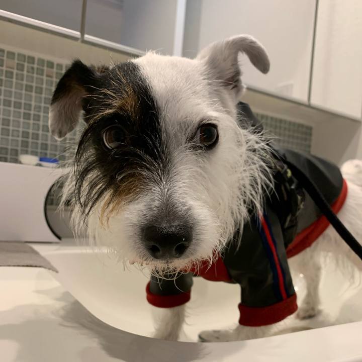 149a77a2 d0b1 404b 8e67 03c4a2a8c5cf 1652492243254