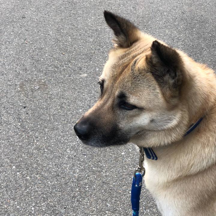 149a91a8 6852 4f5f 937c 652c15c4a21b 1556193595680