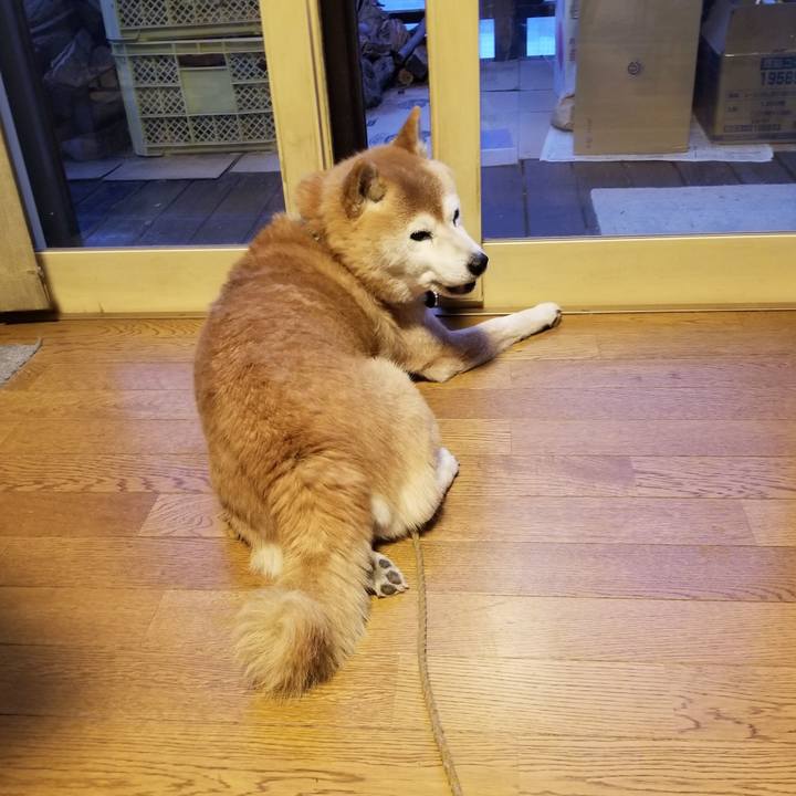 149a9831 8da9 4f8d 8284 f74be072bbe8 1706873389534