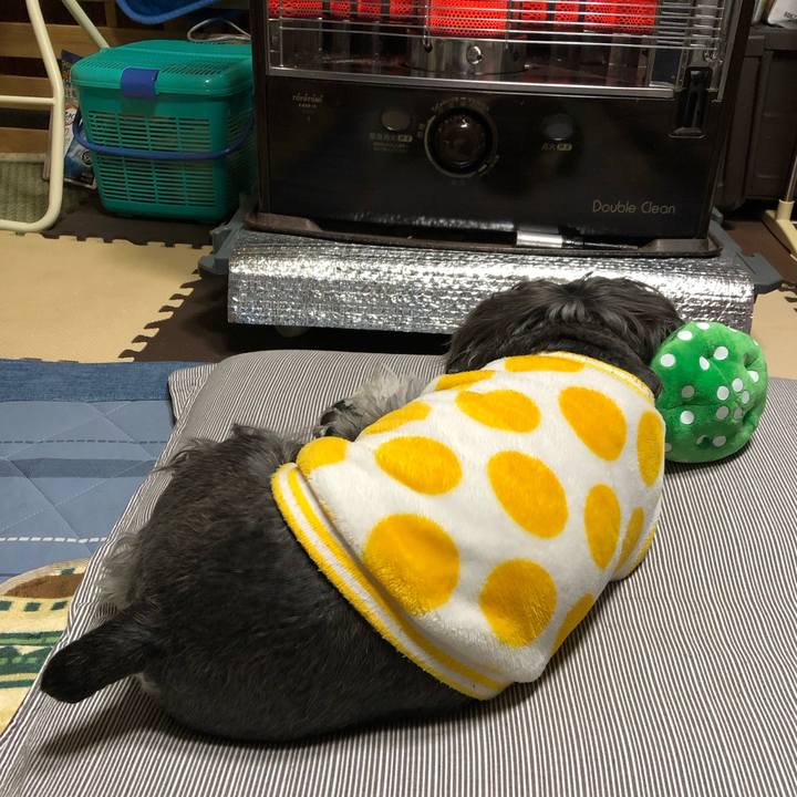 149ab3af be2a 4f3a a6a1 39669a296298 1704374152226