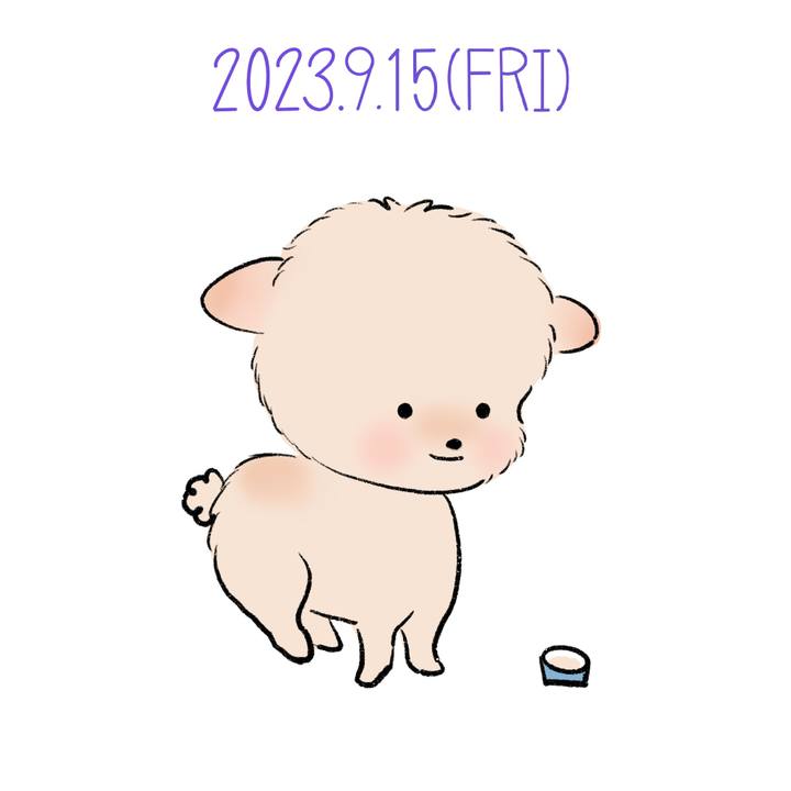 149ad552 e97a 4447 be23 402719e14353 1694784497198