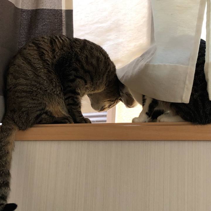 149b262c 4d93 4ff3 8112 eca565a871a5 1550745633265