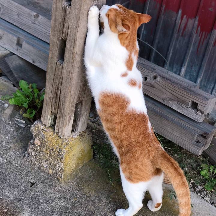 149b3ec5 9d63 43bf aacd 6326dac92987 1541907200396