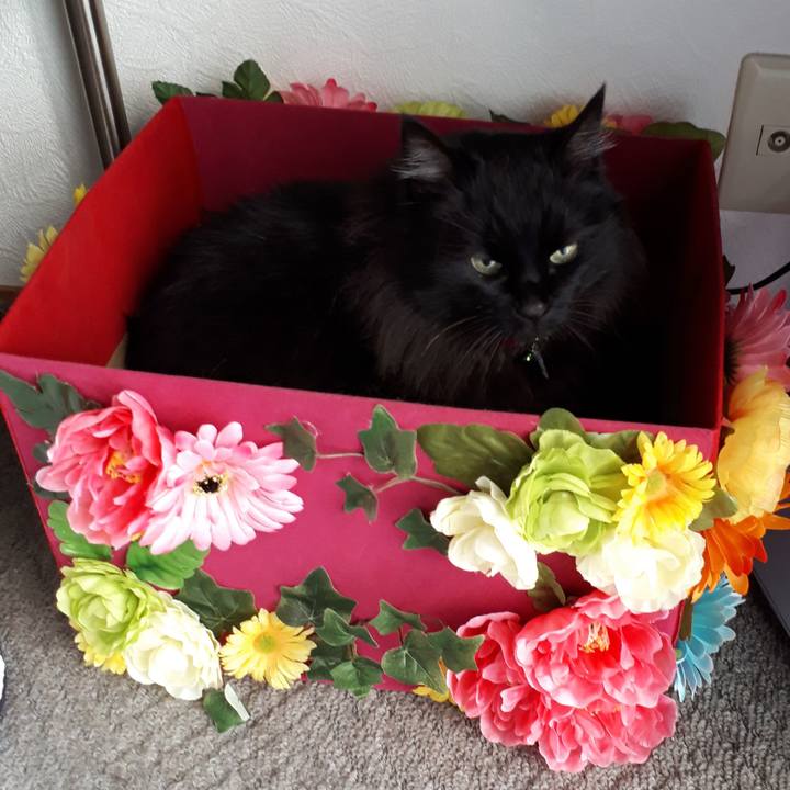 149b72fe 5be4 4252 864f c91339a01744 1522622274539