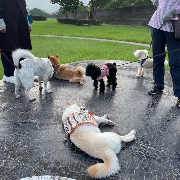 149b96e3 3f21 44df bd5c ecd4ba59b736 1655980248324