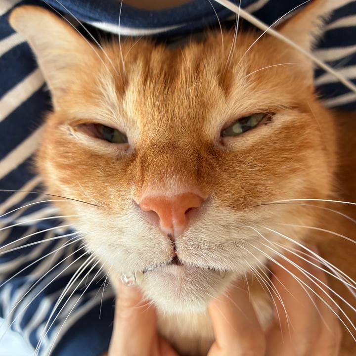 149bbb85 2426 4a26 a6a3 e692e7412662 1773982857651