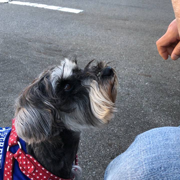 149bc793 8cd3 43be 8efa 30f494edba20 1558744024171