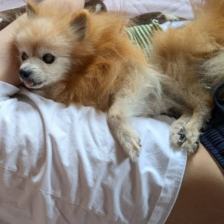 149be20c f164 41ca be9a da052198ad1c 1723456039553