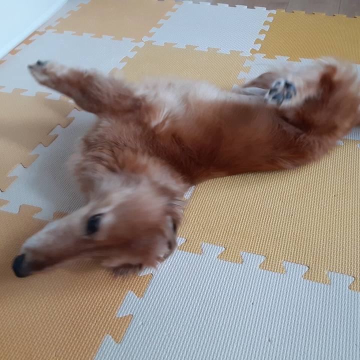 149c0435 77cf 4ec9 abd0 353e4dfc25b3 1622438333997