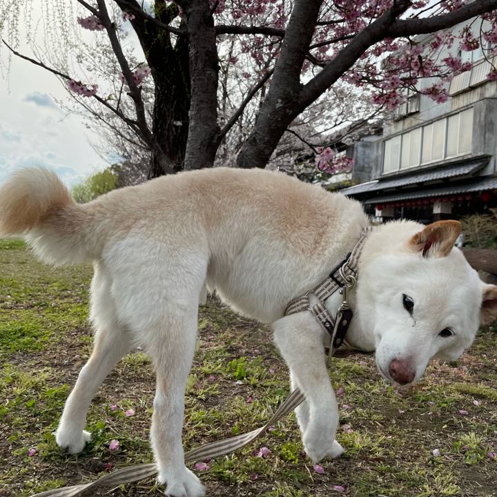 149c0fcc 5252 4556 a802 d825ccb4fb5d 1648210556816