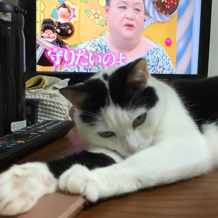 149c224b 3383 4580 b9d5 59d4c49638d7 1524572396576