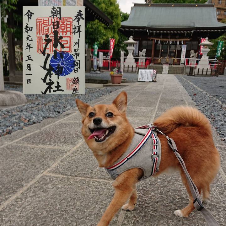 149c294f 6557 4bb9 bed0 0e64ec102fe1 1556696207846