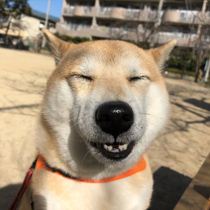 149c30e0 a5fb 487a 91ef 4bb5e8e7d406 1549342151129