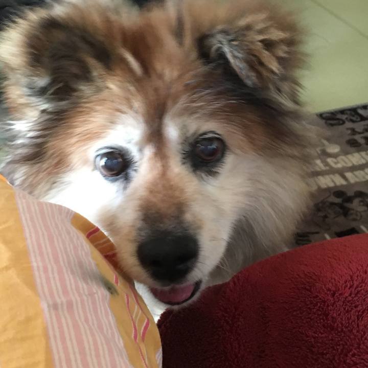 149c5de3 05fd 4880 affb 802138a5a266 1587950977916