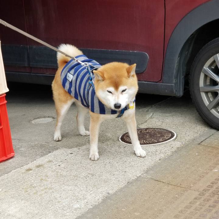 149c6264 85f9 4107 86e8 23abd03646a5 1551240488555