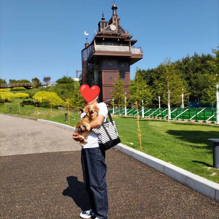 149c8349 a4d7 46e3 841c ec857c971204 1664690772089