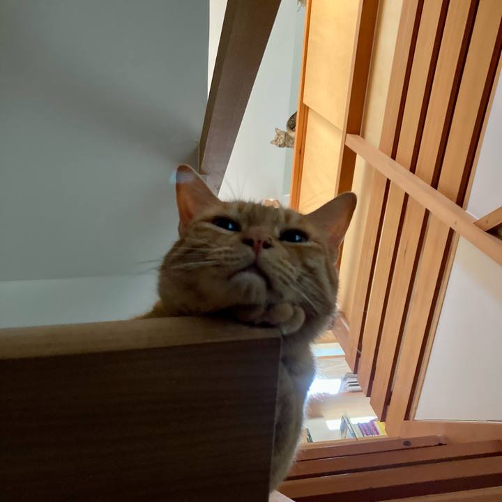 149c9026 6d1c 4abf 886a ed4505bb13fe 1690590046970