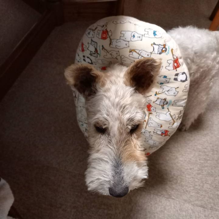 149ca417 2b93 4a0d a6ca 6dca50dcffc3 1651671511187