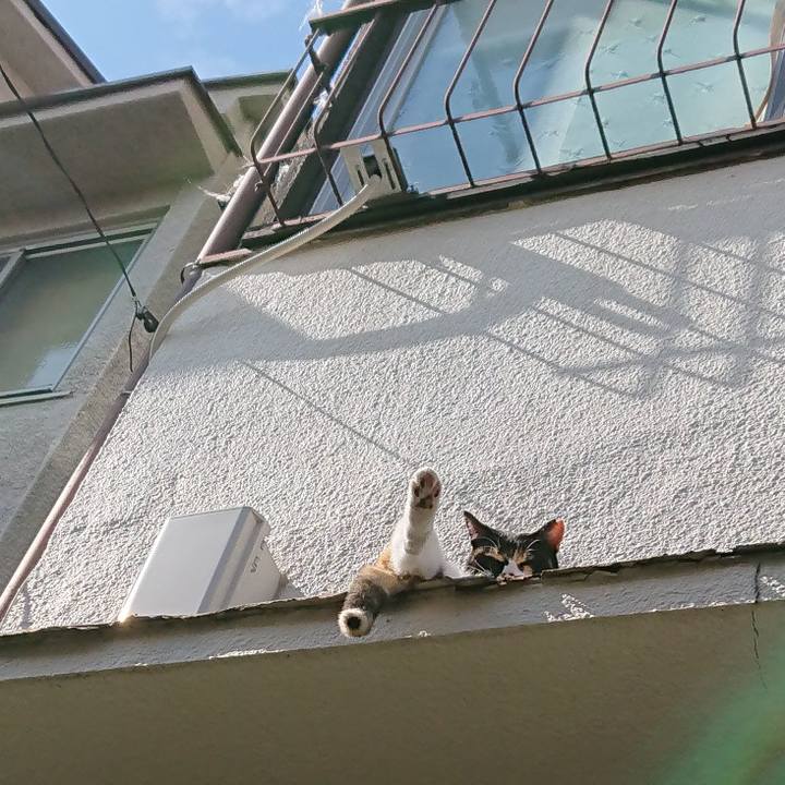 149cc527 8d7f 47eb a5d5 41ede8a715c8 1560223902802