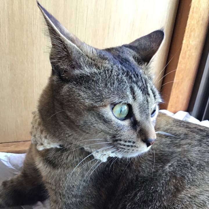 149ccbdd c703 4ab8 9e85 9466509da8f5 1589439474262