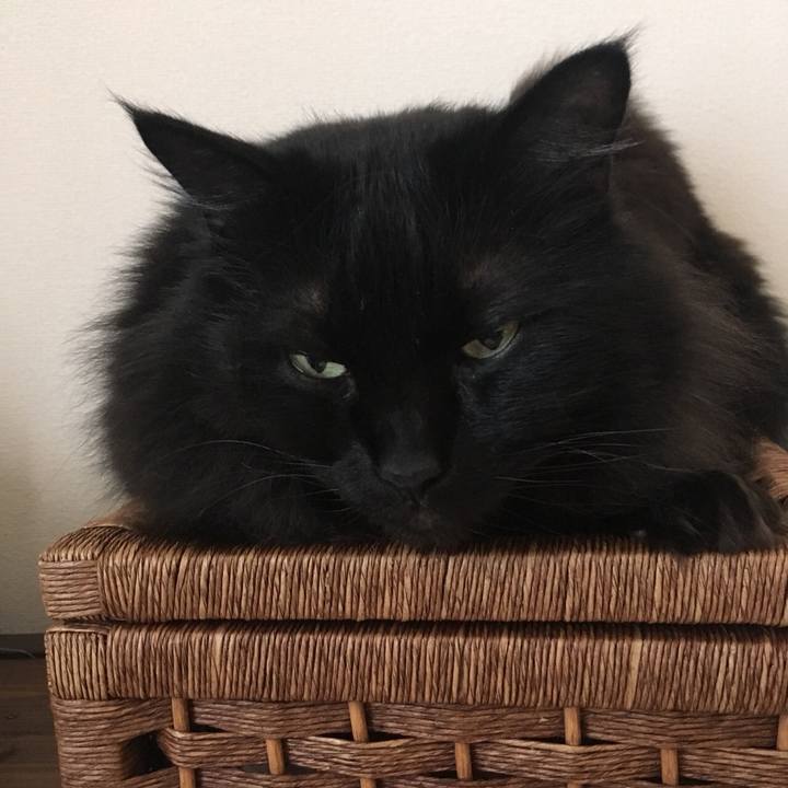 149cd047 4201 4cc0 8cd8 bfc0af66c29a 1552529242882